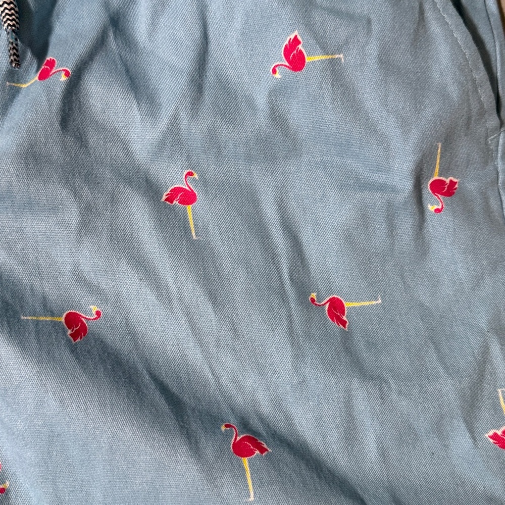 Light Blue Flamingo Print Men's Shorts - Picture 2 of 4